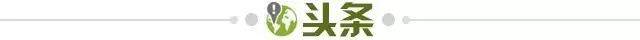 1738936913224077486.jpg 头条.jpg